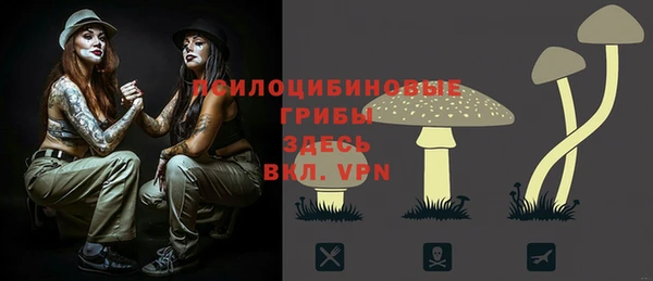 шишки Навашино
