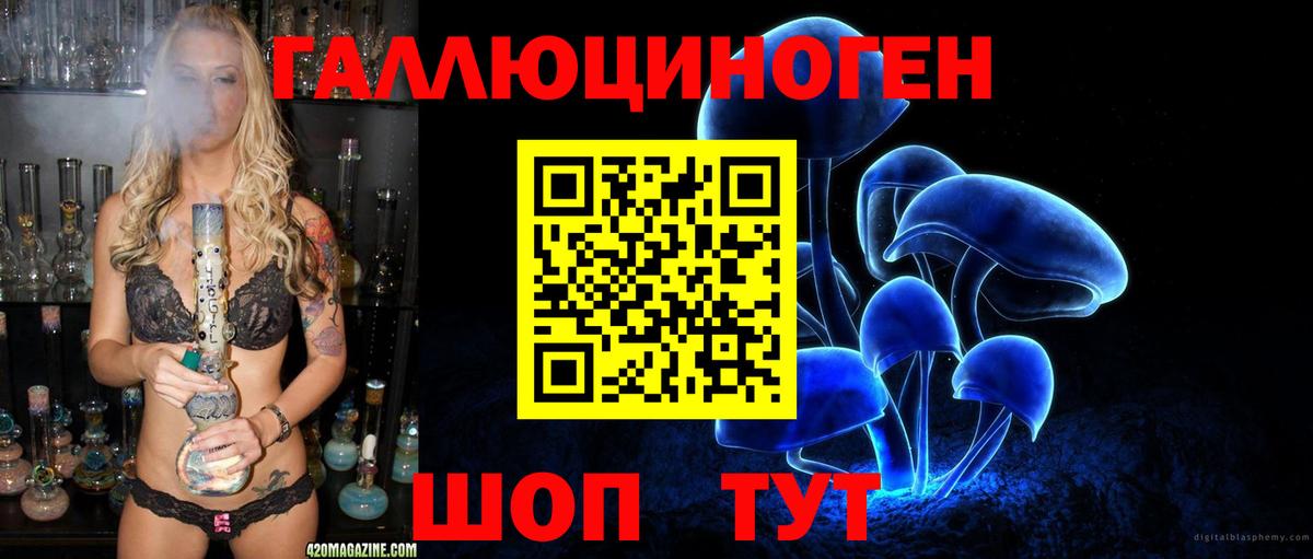 купить   Бахчисарай  Псилоцибиновые грибы Magic Shrooms 