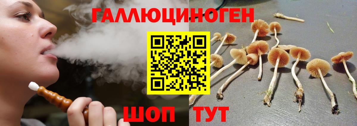 Бахчисарай  Галлюциногенные грибы GOLDEN TEACHER  Вход с VPN 